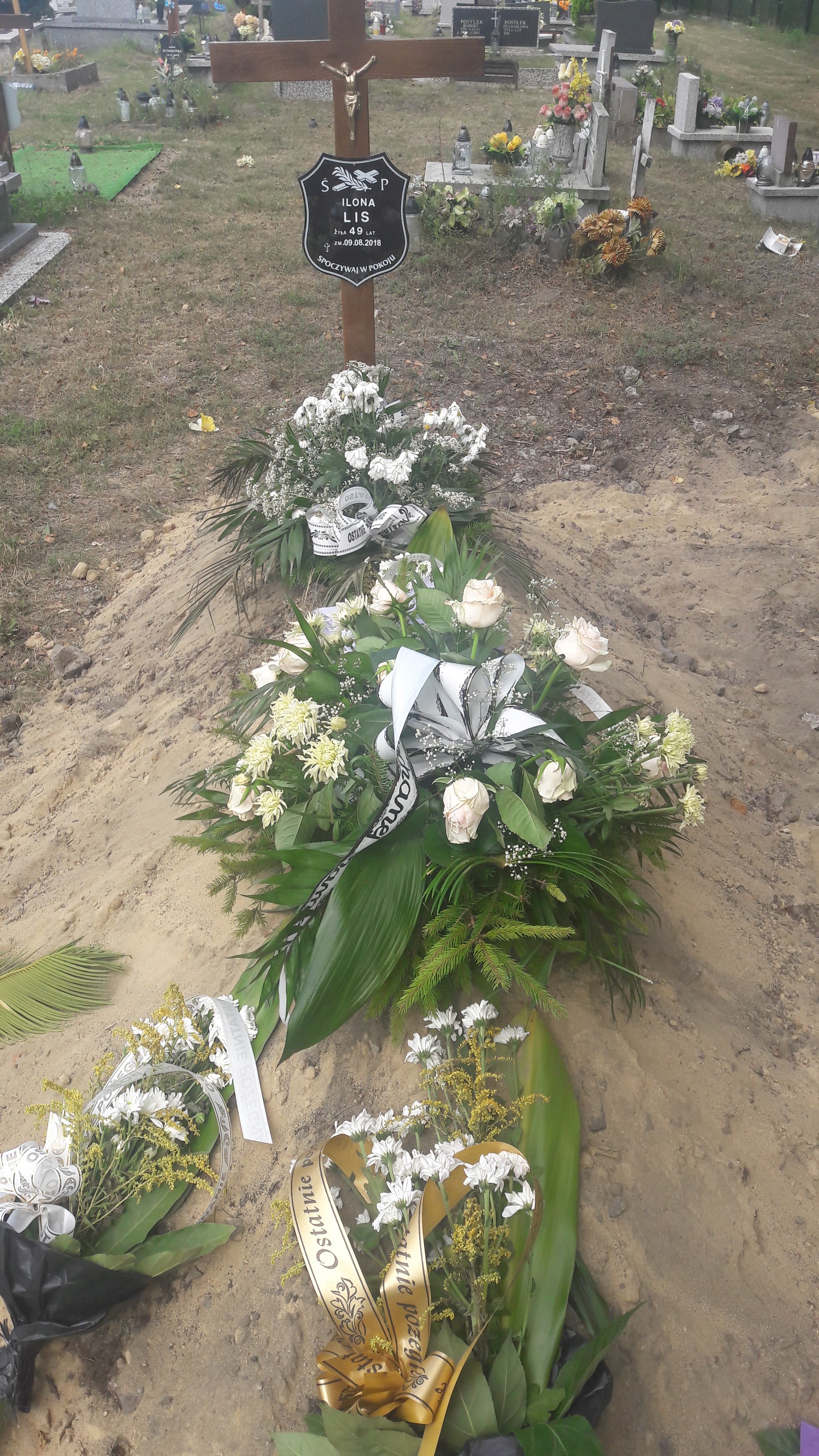 Ilona LIS 1969 Czeladź - Grobonet - Wyszukiwarka osób pochowanych