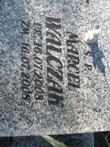 Barbara WÓJCIK 1949 Czeladź - Grobonet - Wyszukiwarka osób pochowanych