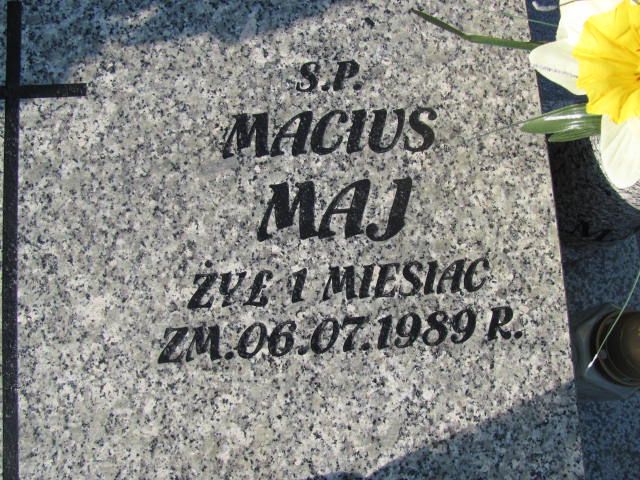 Maciej Maj Czeladź - Grobonet - Wyszukiwarka osób pochowanych