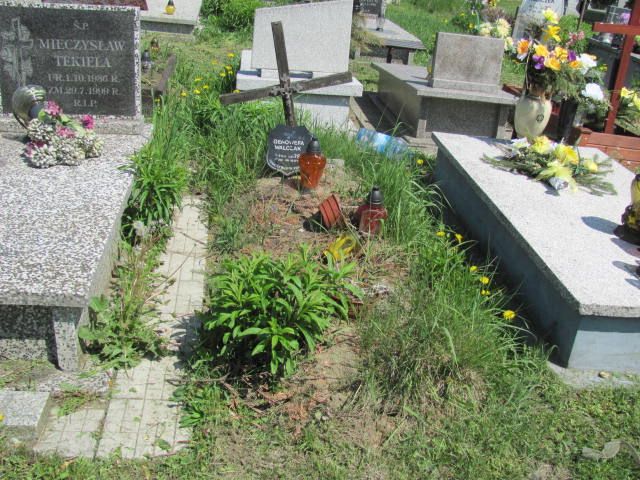Grób Genowefa Walczak