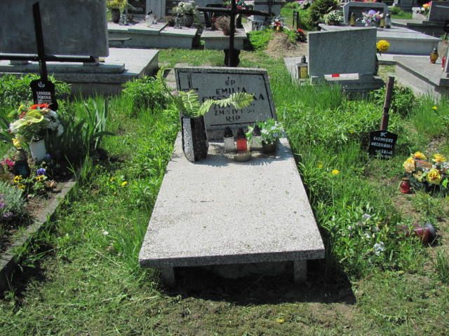 Grób ELŻBIETA CYBIS