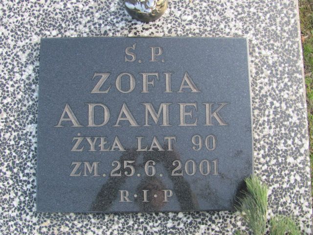   Czeladź - Grobonet - Wyszukiwarka osób pochowanych