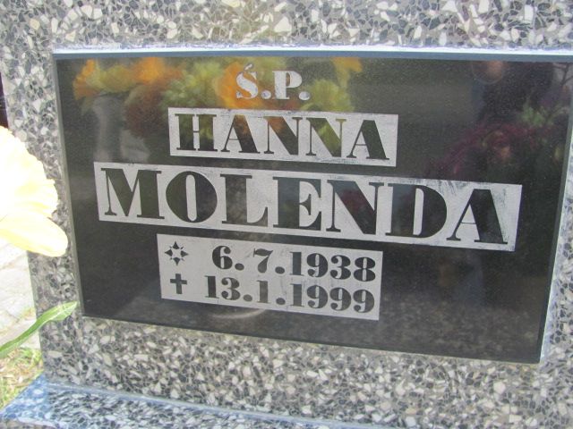 Hanna Molenda 1938 Czeladź - Grobonet - Wyszukiwarka osób pochowanych
