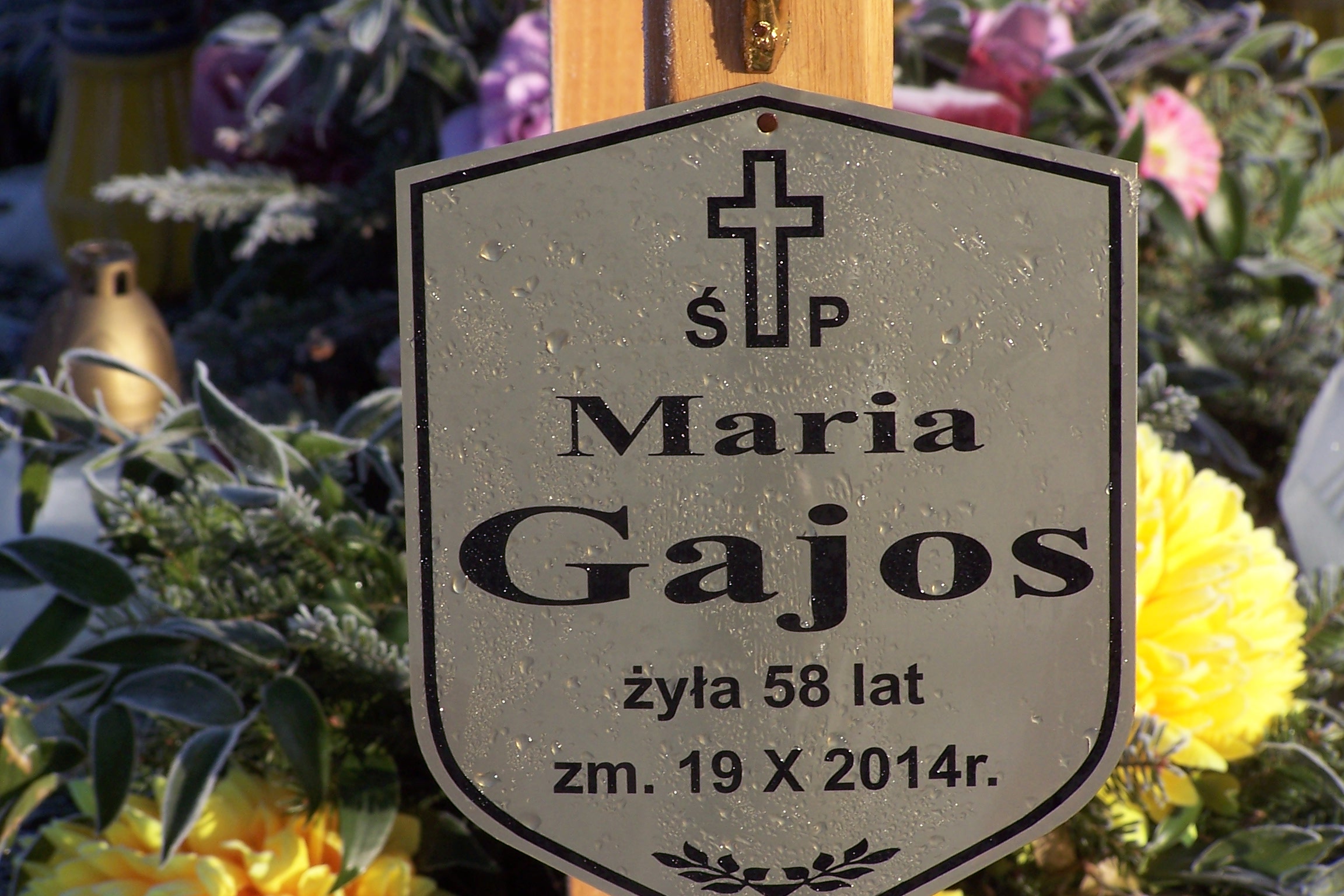 Stefan GAJOS 1953 Czeladź - Grobonet - Wyszukiwarka osób pochowanych