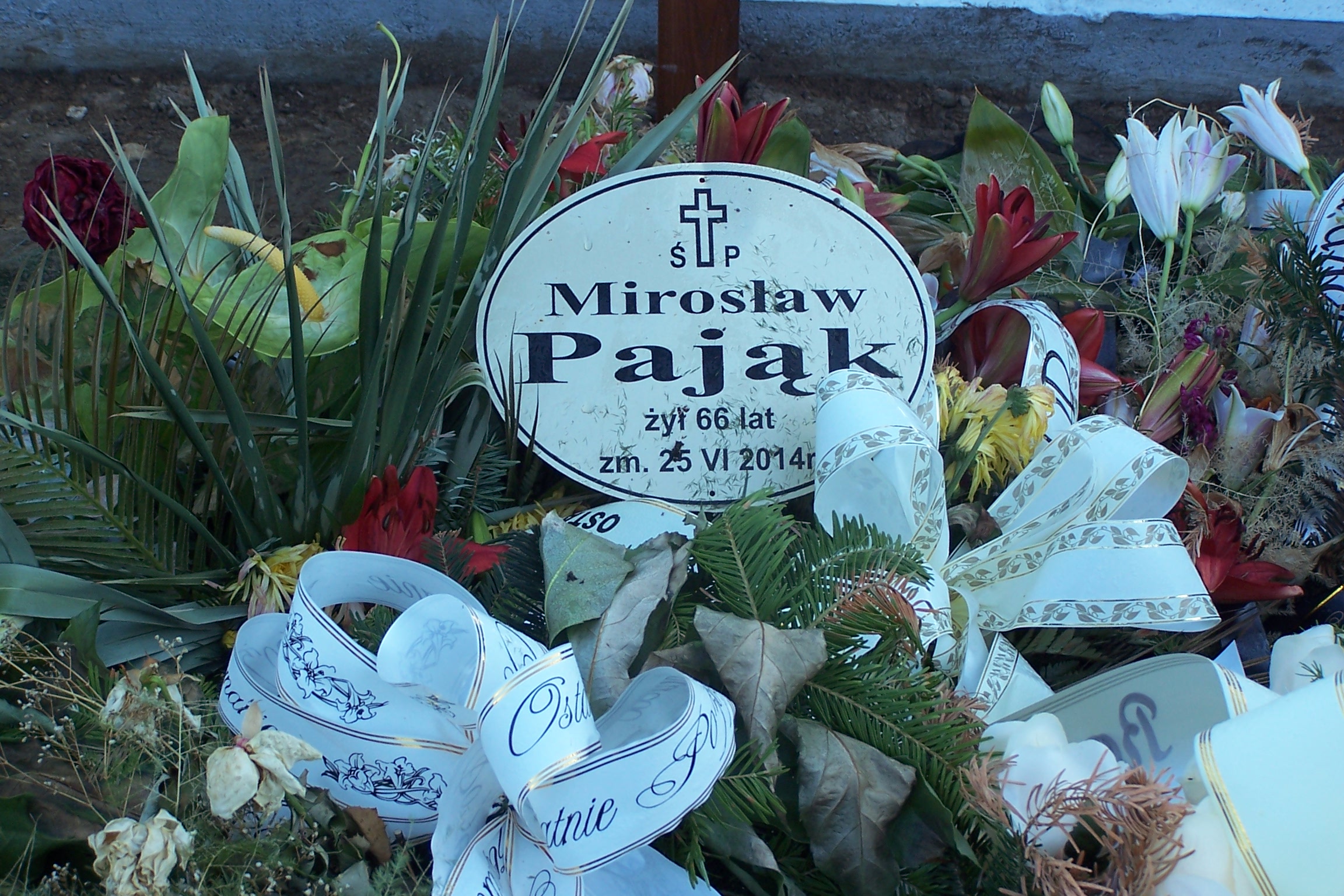 Mirosław Pająk 1948 Czeladź - Grobonet - Wyszukiwarka osób pochowanych