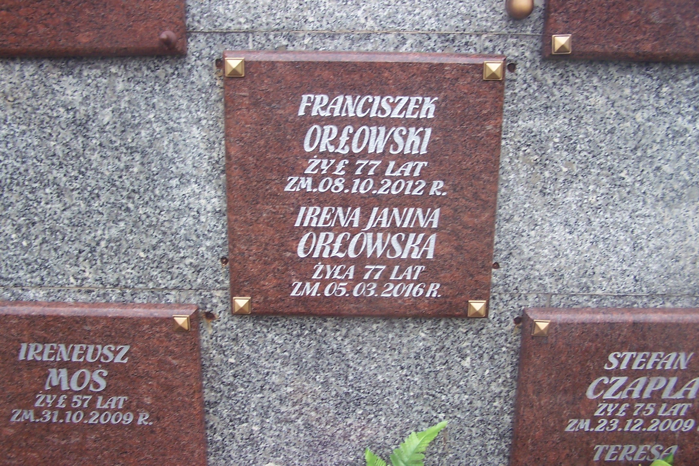 Zdjęcie grobu